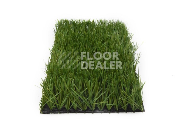 Искусственная трава Apoluza Sportfloor TURF 60/13s Green фото 1 | FLOORDEALER